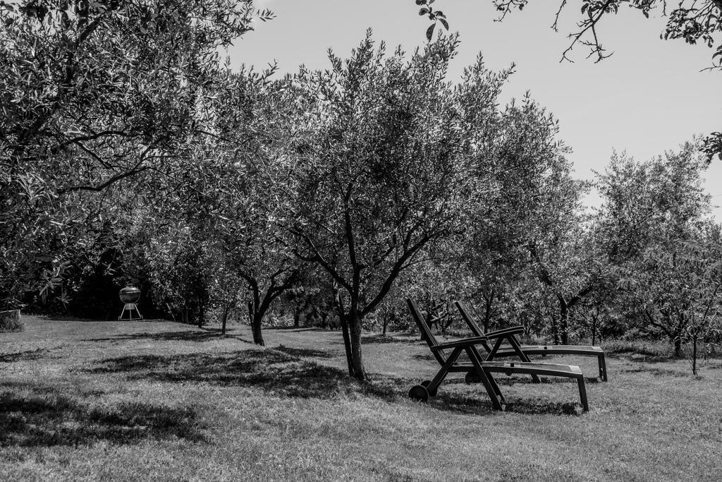 San PelagioTerra Del Carso别墅 外观 照片
